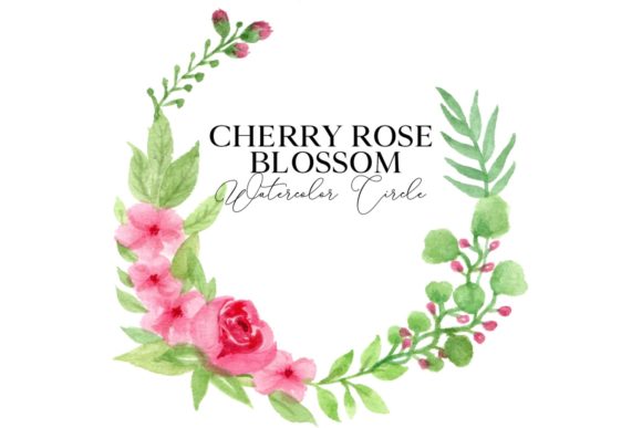 Cherry Rose Blossom Watercolor Circle for Web Elements